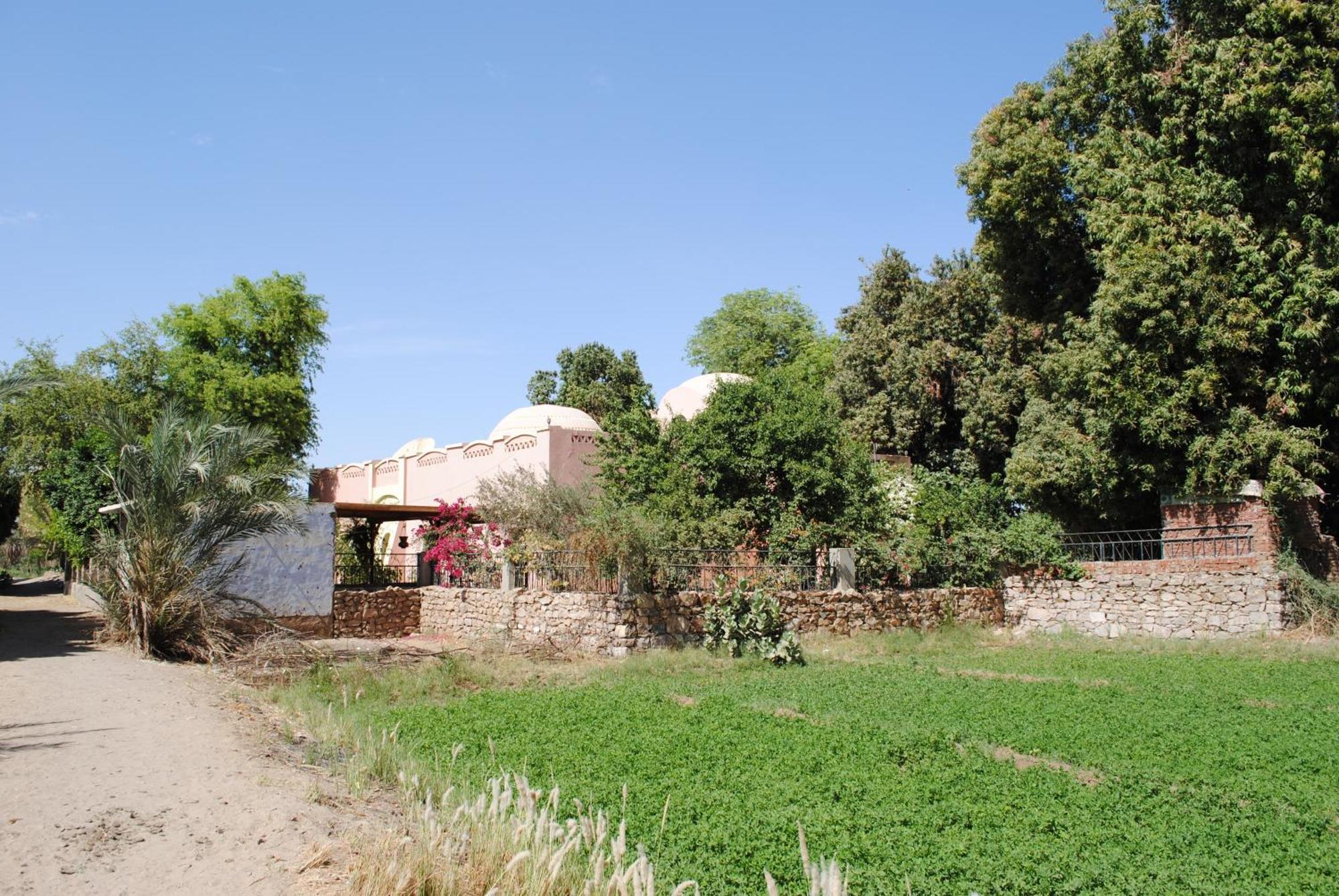 Nubian Holiday House Aswan Exterior foto