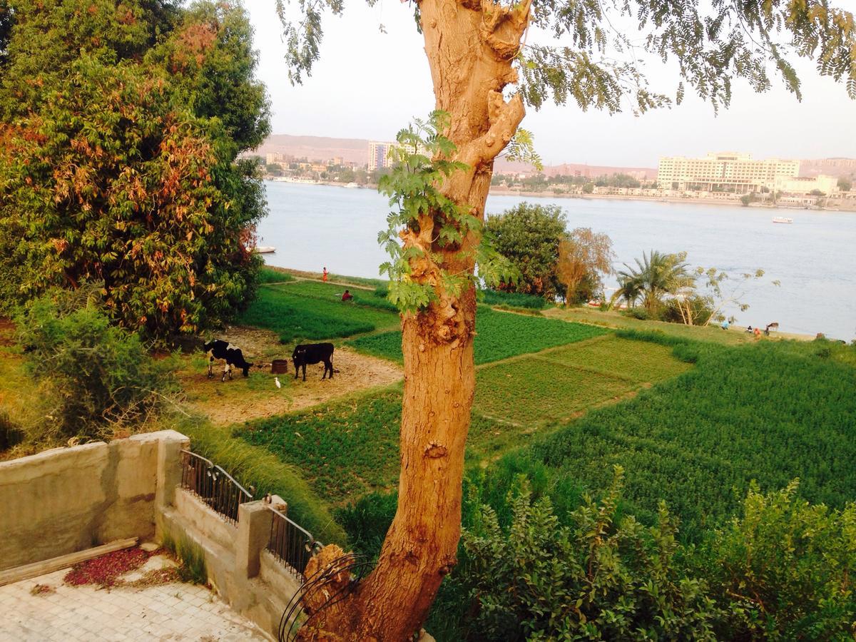 Nubian Holiday House Aswan Exterior foto